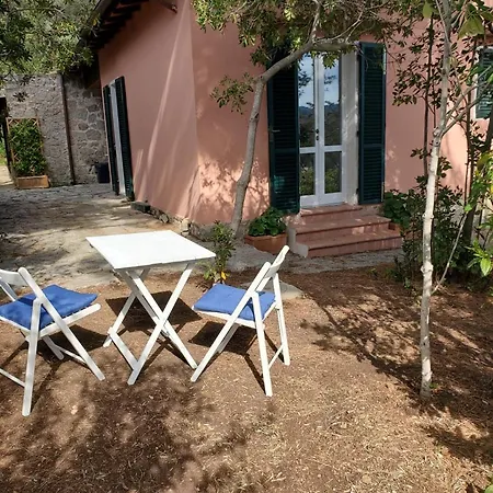 Apartment Casa Degli Ulivi Procchio (Isola d'Elba)