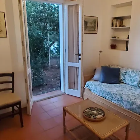 Casa Degli Ulivi 公寓 *
