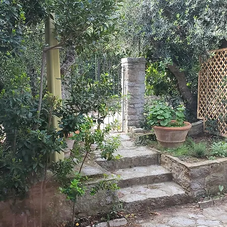 Casa Degli Ulivi Apartment