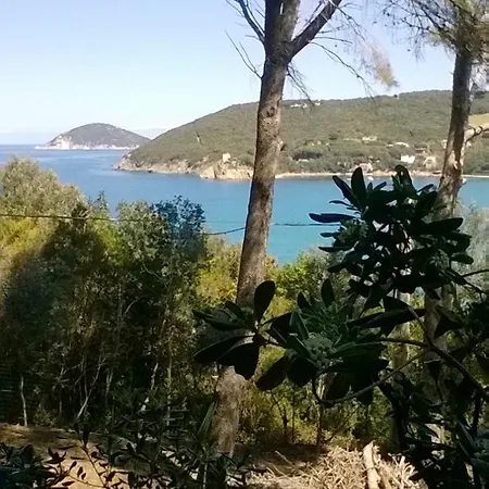 Casa Degli Ulivi Apartment Procchio (Isola d'Elba)
